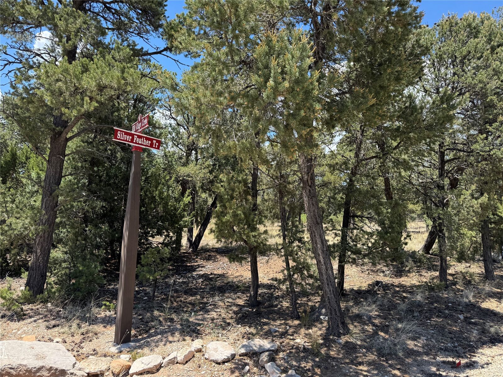 Property Photo:  43 Silver Feather Trail  NM 87552 