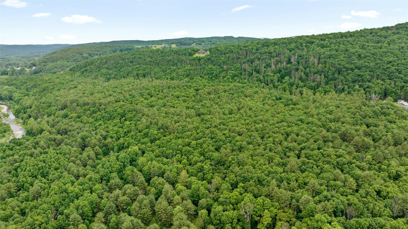 Property Photo: 342 Echo Road NY 13850