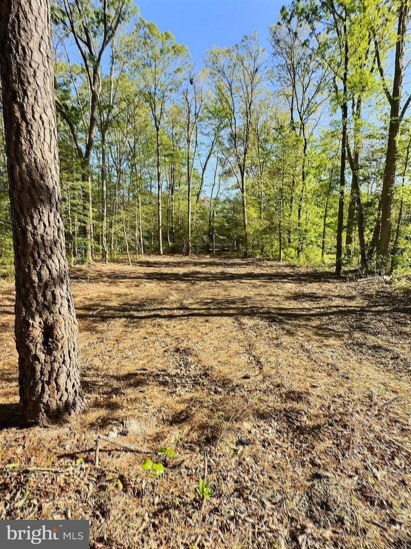 Property Photo: 0 Shady Dell Park / Birch DE 19939