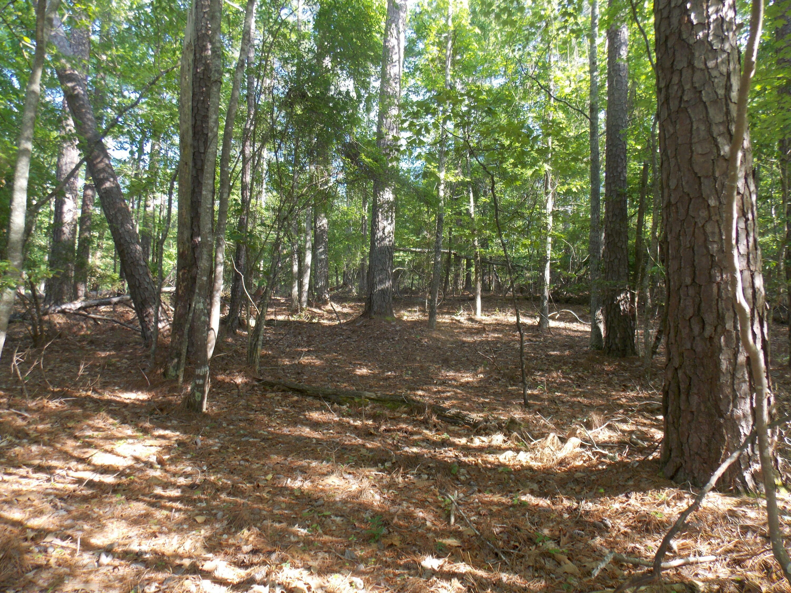 Property Photo: 12 Riverview Court GA 30817