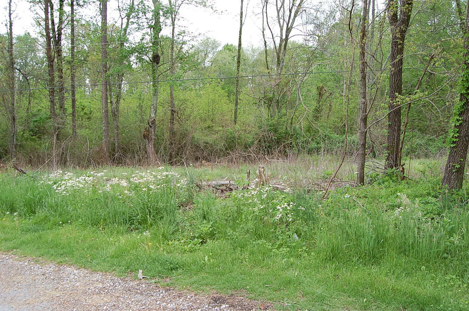 Property Photo: 67 51st Avenue TN 37339