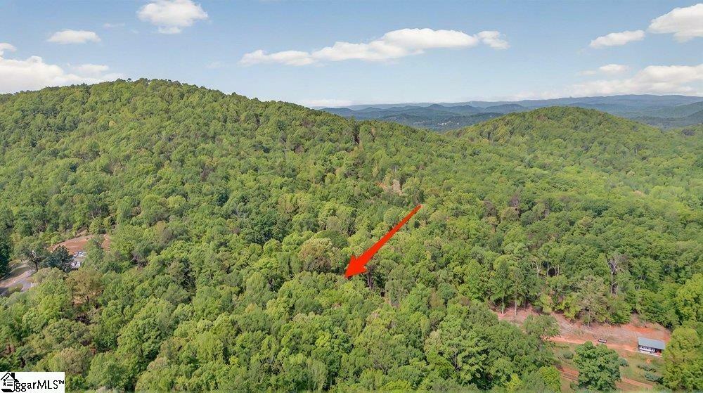 Property Photo: 274 Chinquapin Road SC 29640