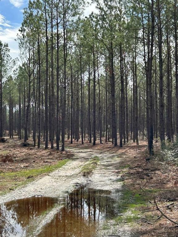 Property Photo: Tract 6 Lloyd Walker Road TX 75949