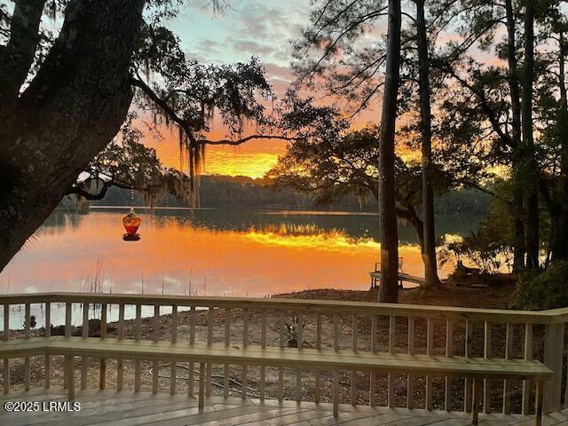 Property Photo: 193 Pleasant Point Drive SC 29907