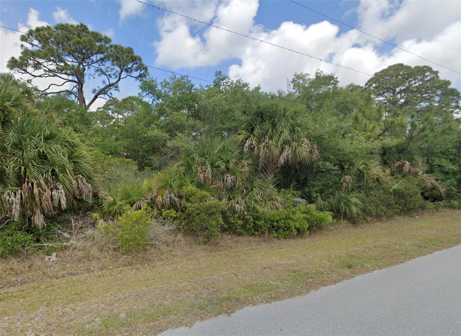 Property Photo: 1239 Furman Street FL 33953