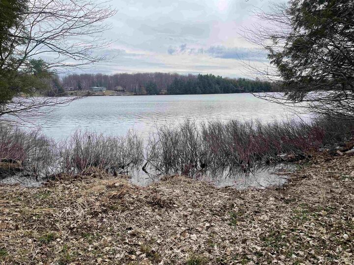 Property Photo:  Tbd Smith Lake Dr Drive  MI 49854 
