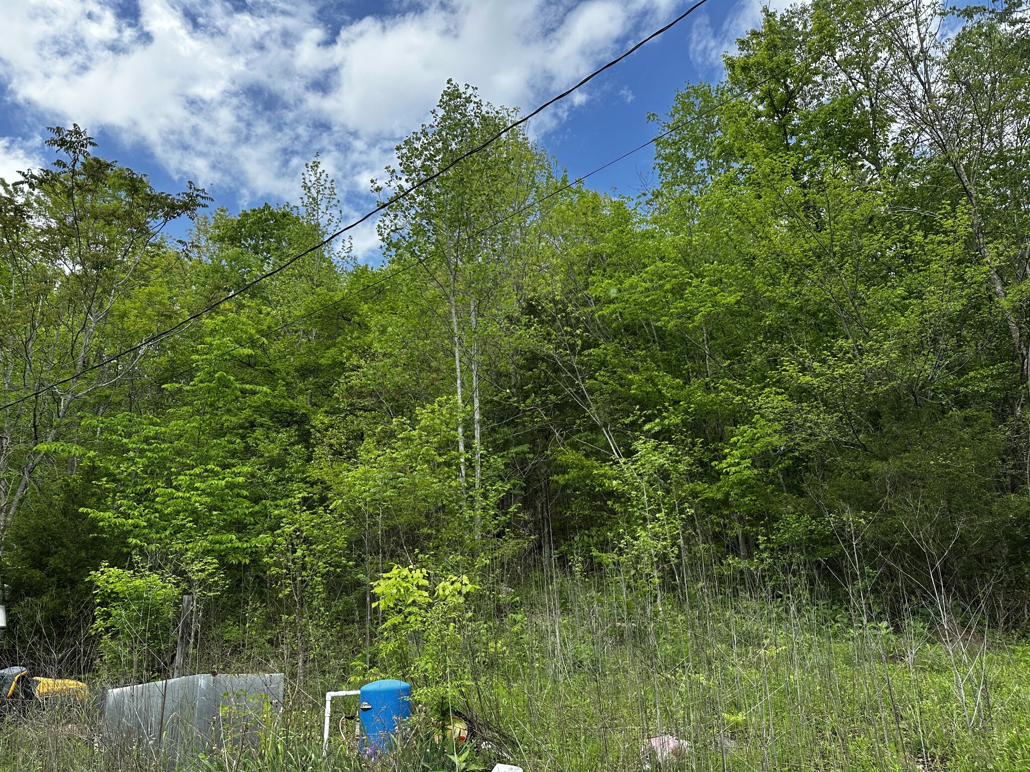 Property Photo: 910 Warren Hollow Rd TN 38425