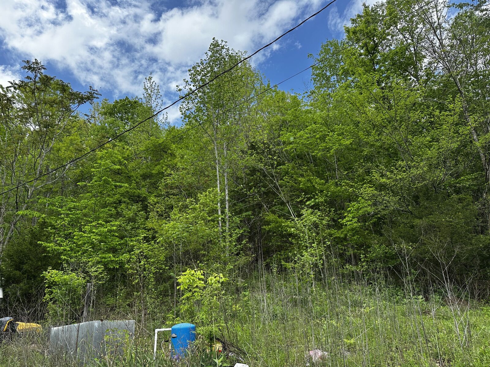 Property Photo: 910 Warren Hollow Rd TN 38425