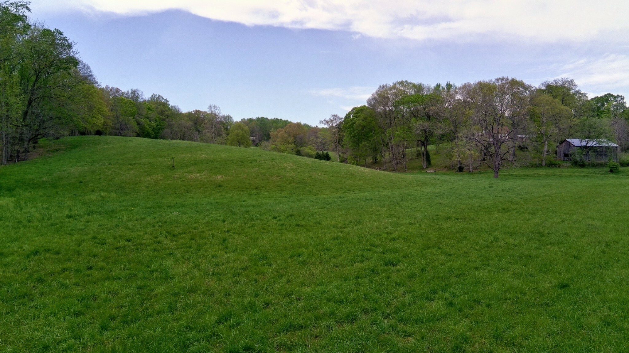 Property Photo: 0 Edmondson Ferry Road TN 37040