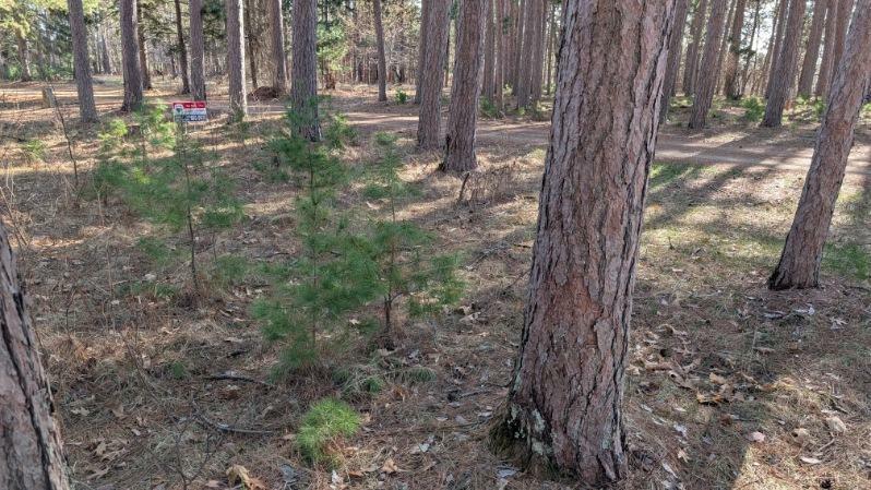 Property Photo: 3823 County Road 17 MN 56472