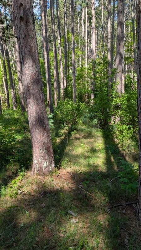 Property Photo:  3823 County Road 17  MN 56472 