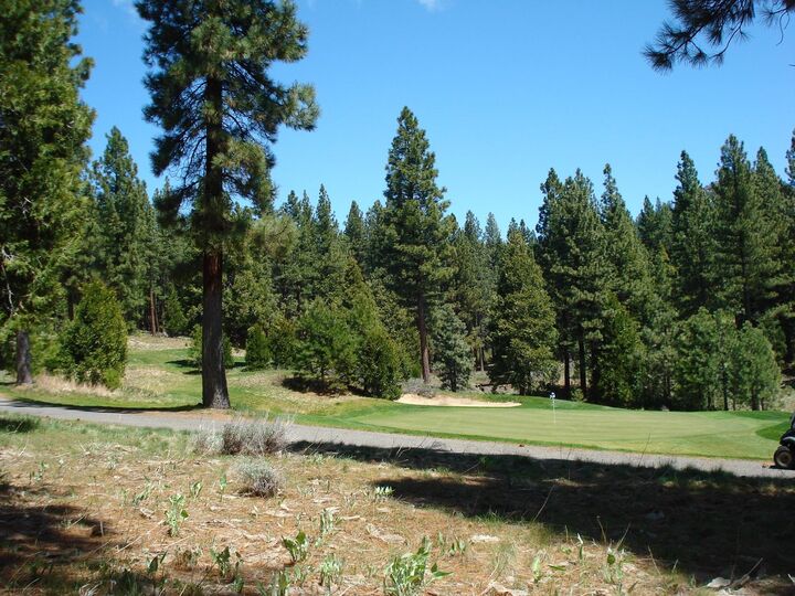 Property Photo:  360 Big Grizzly 4  CA 96122 