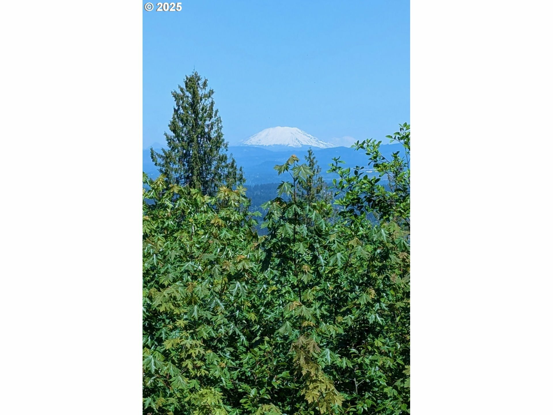 Property Photo: 10469 SE Quailridge Dr OR 97086