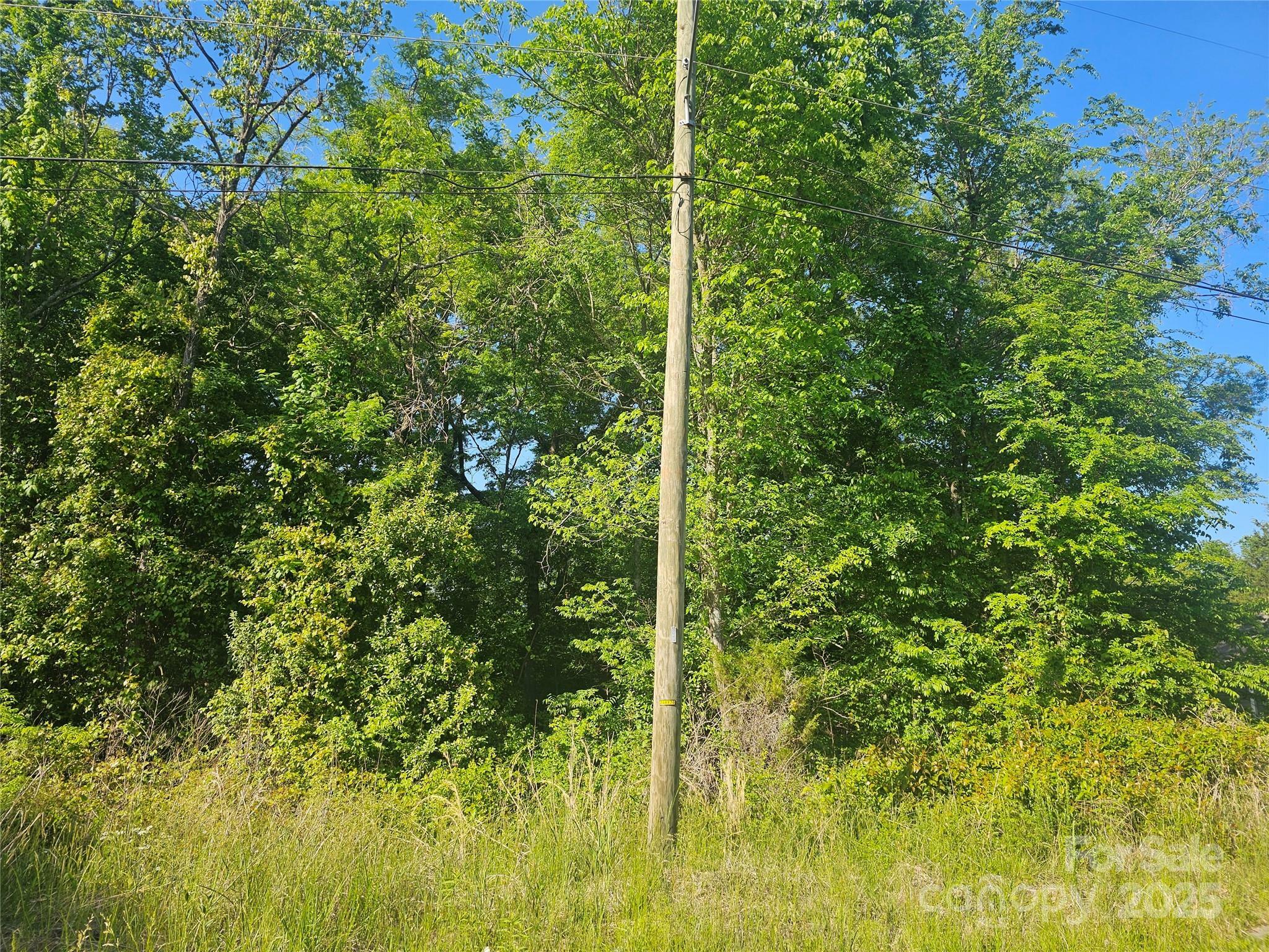 Property Photo: 00 W Horah Street NC 28144