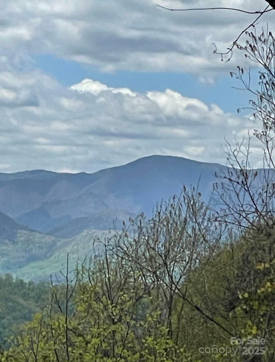 Property Photo: 0000 Jerome Lane NC 28748