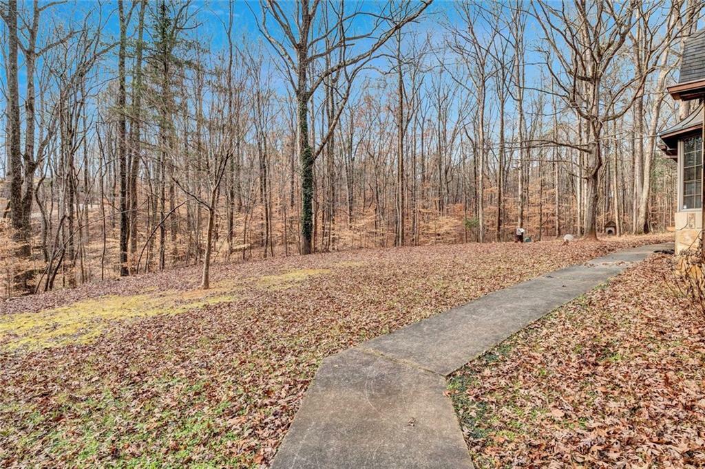 Property Photo:  4220 Chapel Hill Farms Drive  GA 30135 