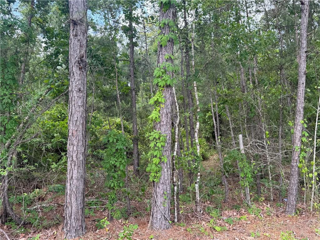 Property Photo:  00 Philadelphia Road  LA 71328 