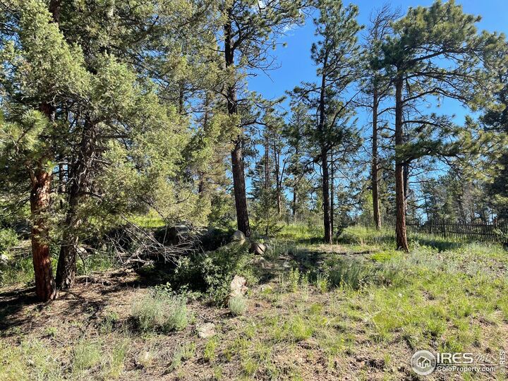 27271 Log Trl  Conifer CO 80433 photo