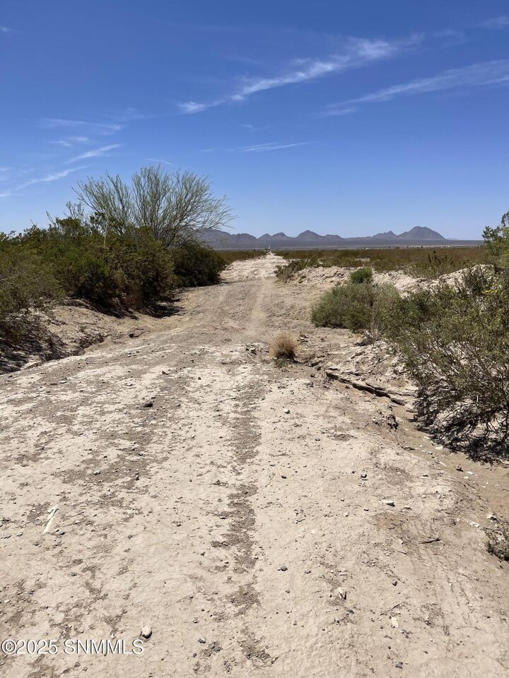 Property Photo:  9245 Rabbit Run Road  NM 88012 
