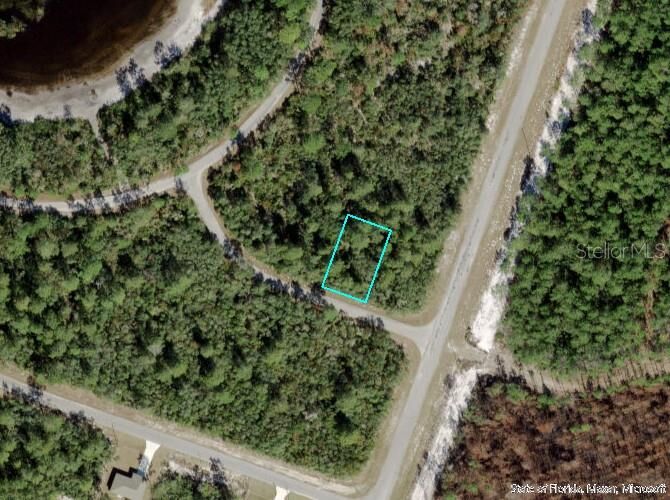 Property Photo: Tbd Fisher Loop Run FL 32179