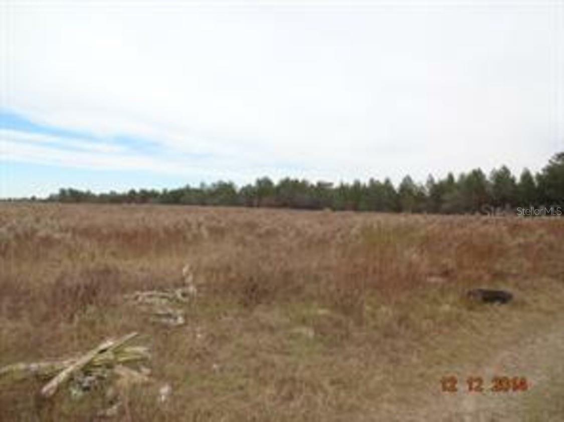 17520 County Line Road  Spring Hill FL 34610 photo