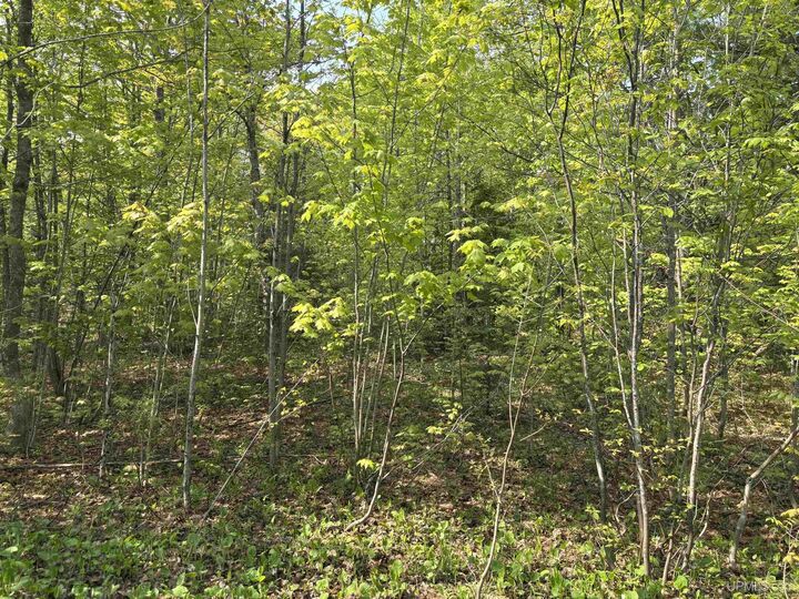 Property Photo:  Tbd B Gorton Road  MI 49930 