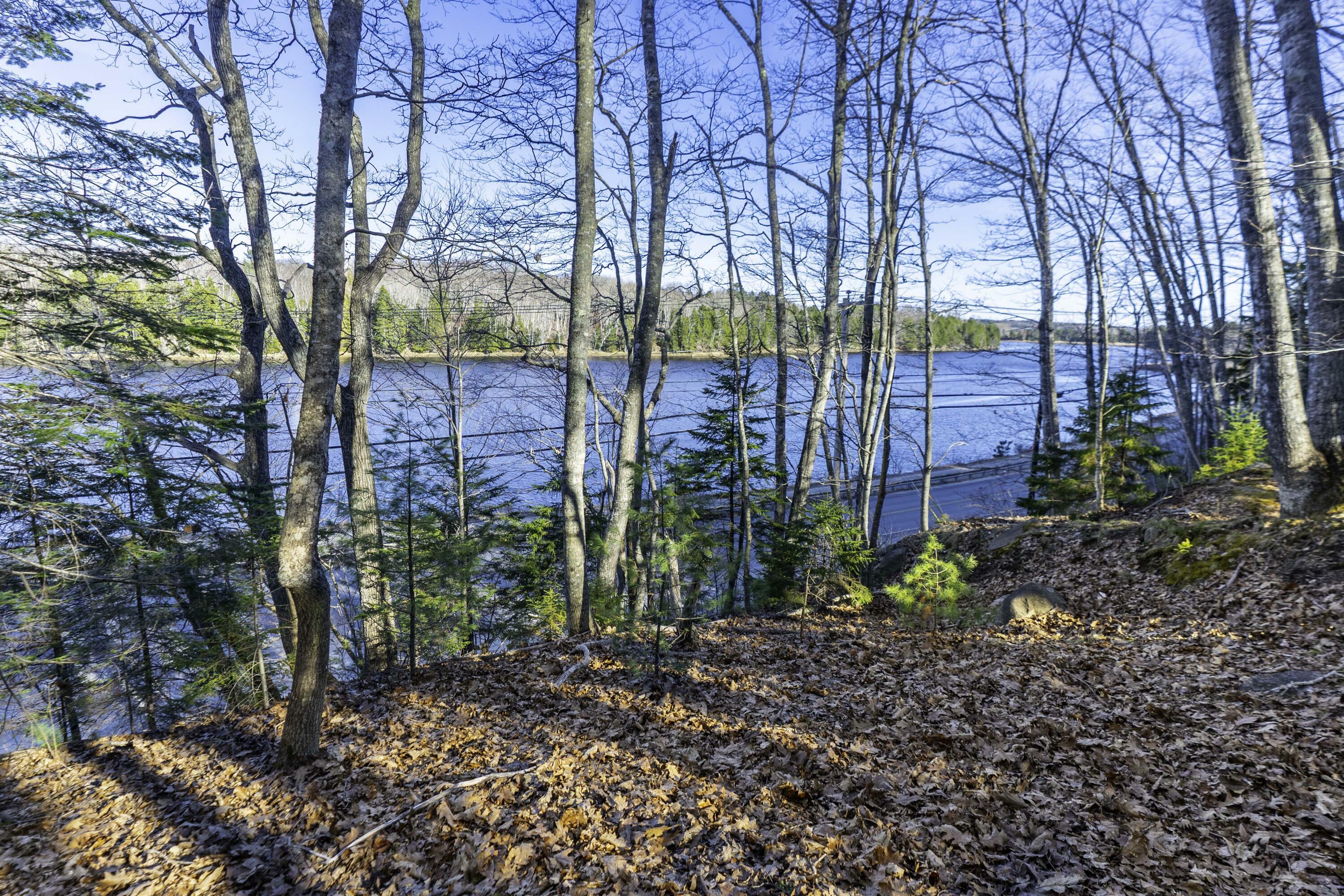 Property Photo: Lot10-1 Scotts Hill/Randall Loop ME 04630