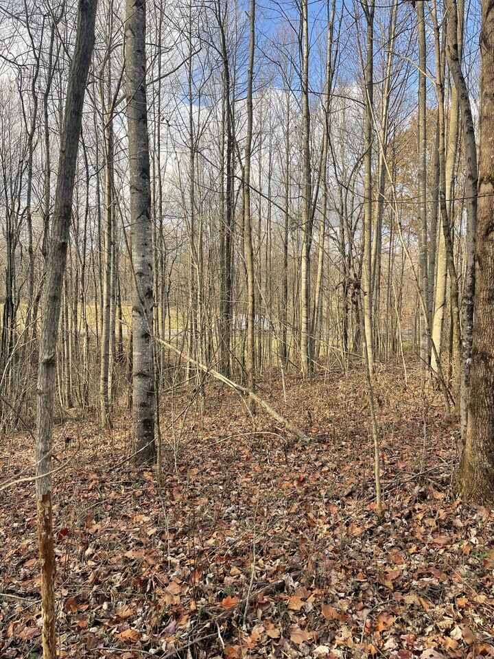 Property Photo:  10900 Hwy 52 West W  TN 37186 