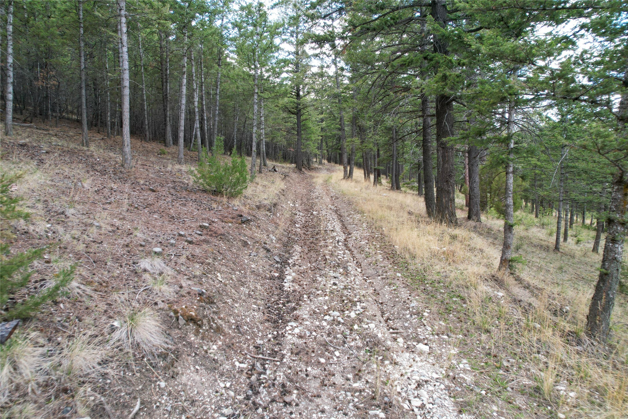 Property Photo: 291 S Hills Road MT 59634