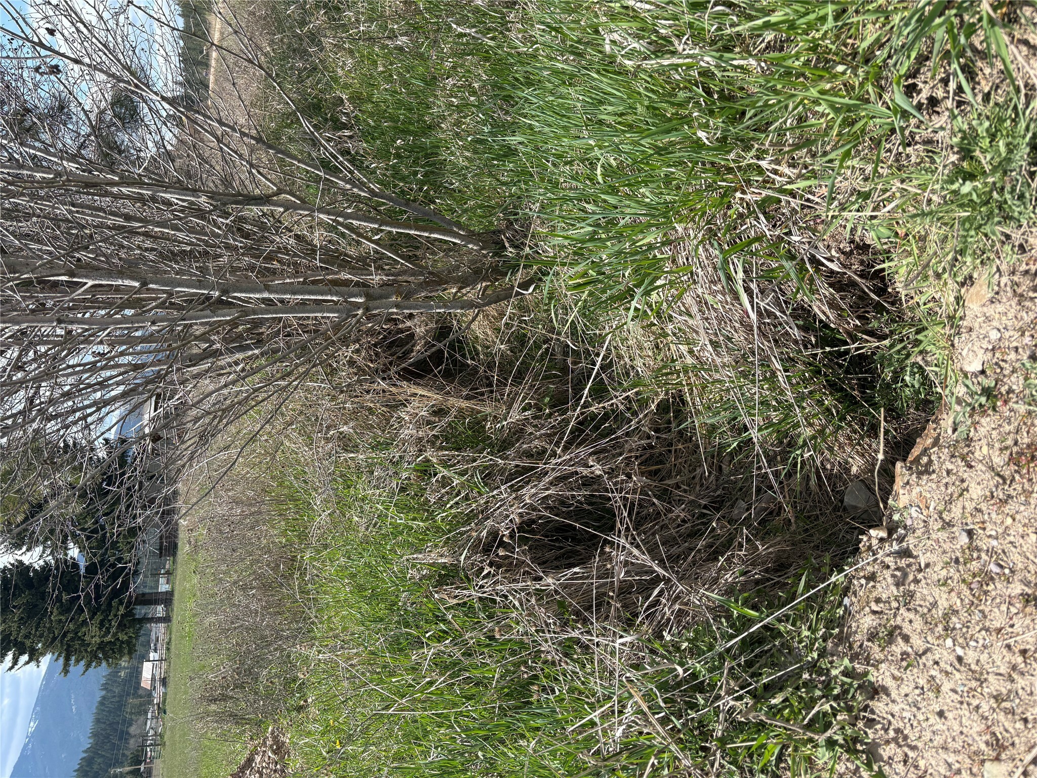 Property Photo: 22425 Nine Mile Road MT 59846