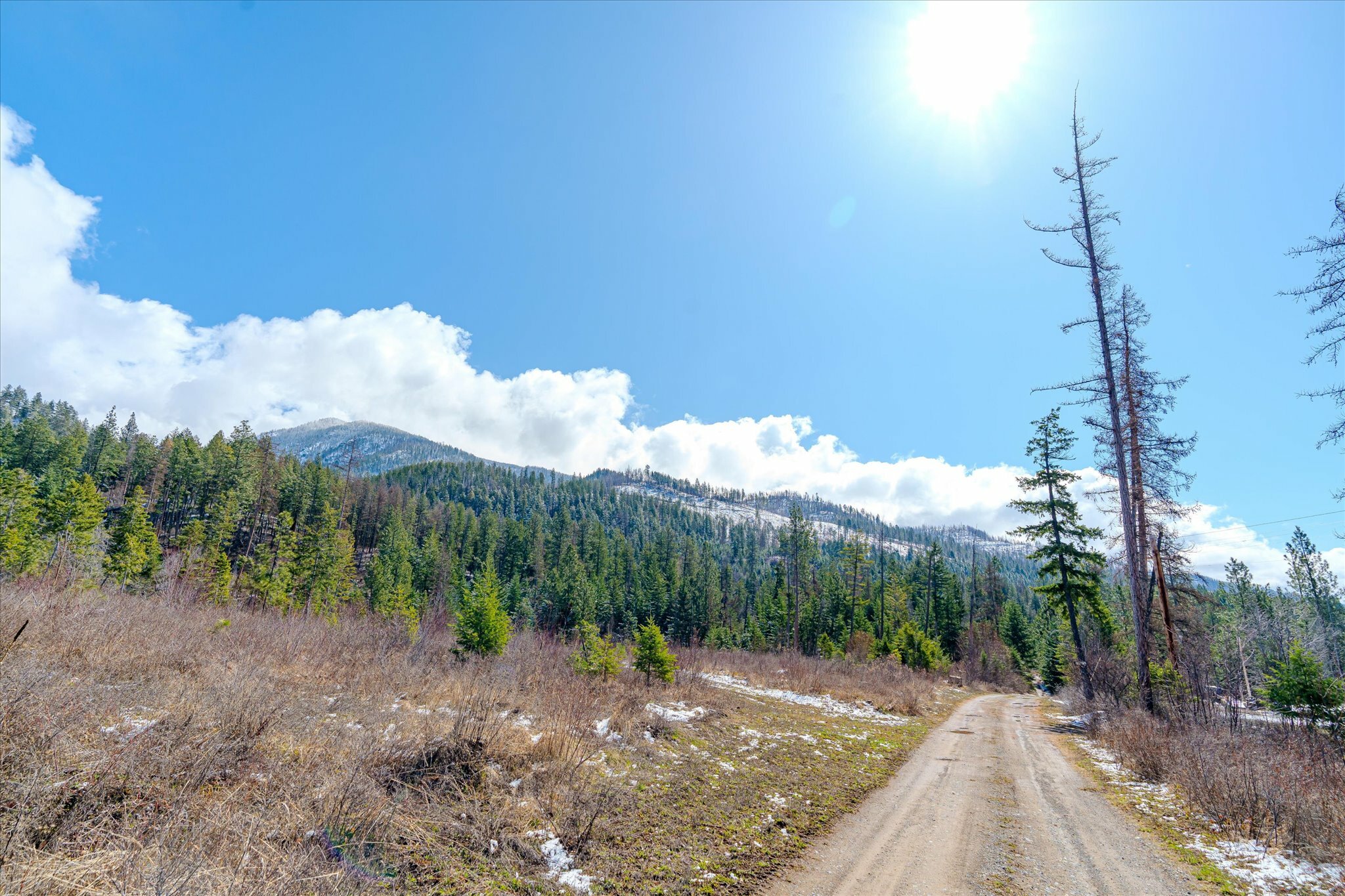Property Photo: Nhn Liebig Lane MT 59860