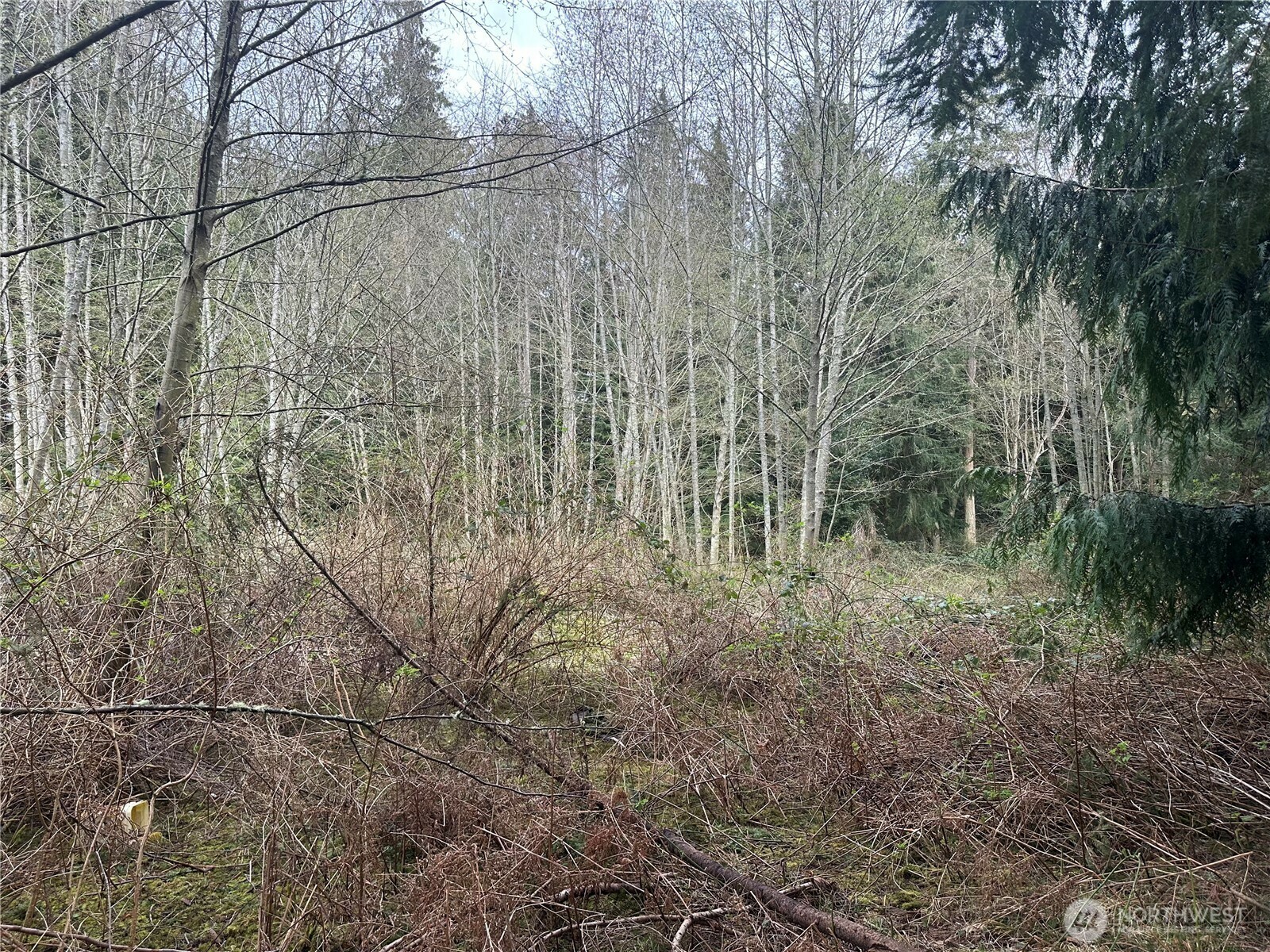 Property Photo: 0 11 & 12 Harbor Sands Lane WA 98249