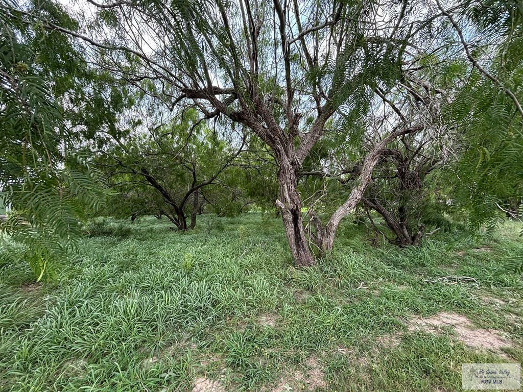 Property Photo: 37164 Nicho Esparza Rd TX 78586