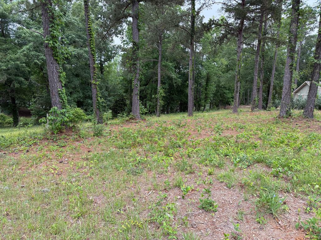 Property Photo: 0 Powell Trace AL 36310