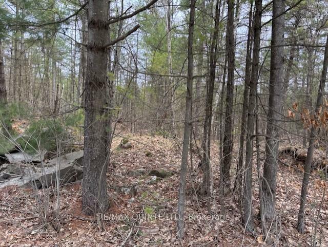 Property Photo:  325 Bridgewater Road  ON K0K 2K0 