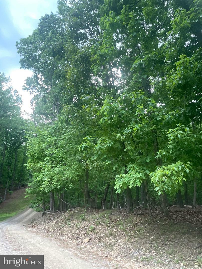 Property Photo: Lot 24 Maple Lane VA 20135