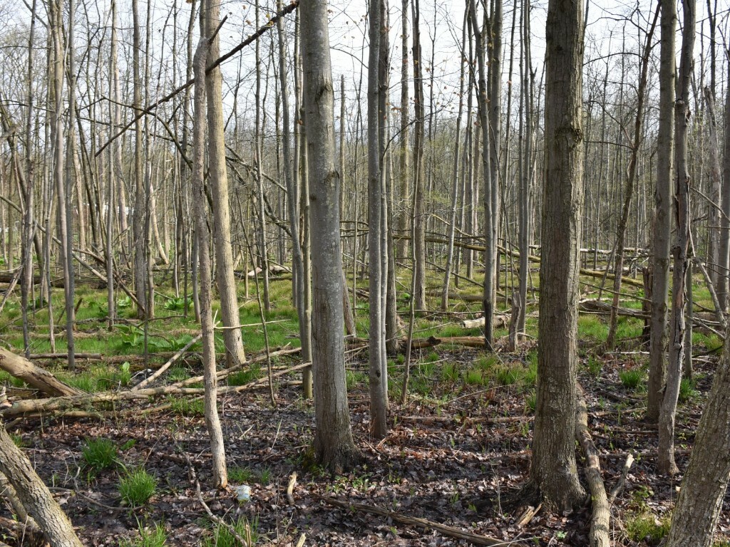 Property Photo: 3214-024 Blooming Valley Road PA 16335