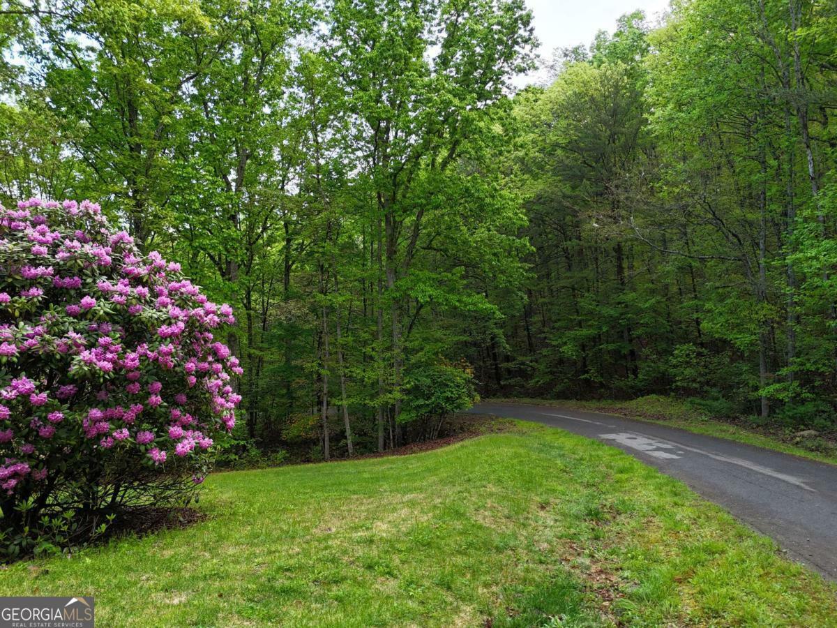 Property Photo: L93 - 95 Timberline GA 30582