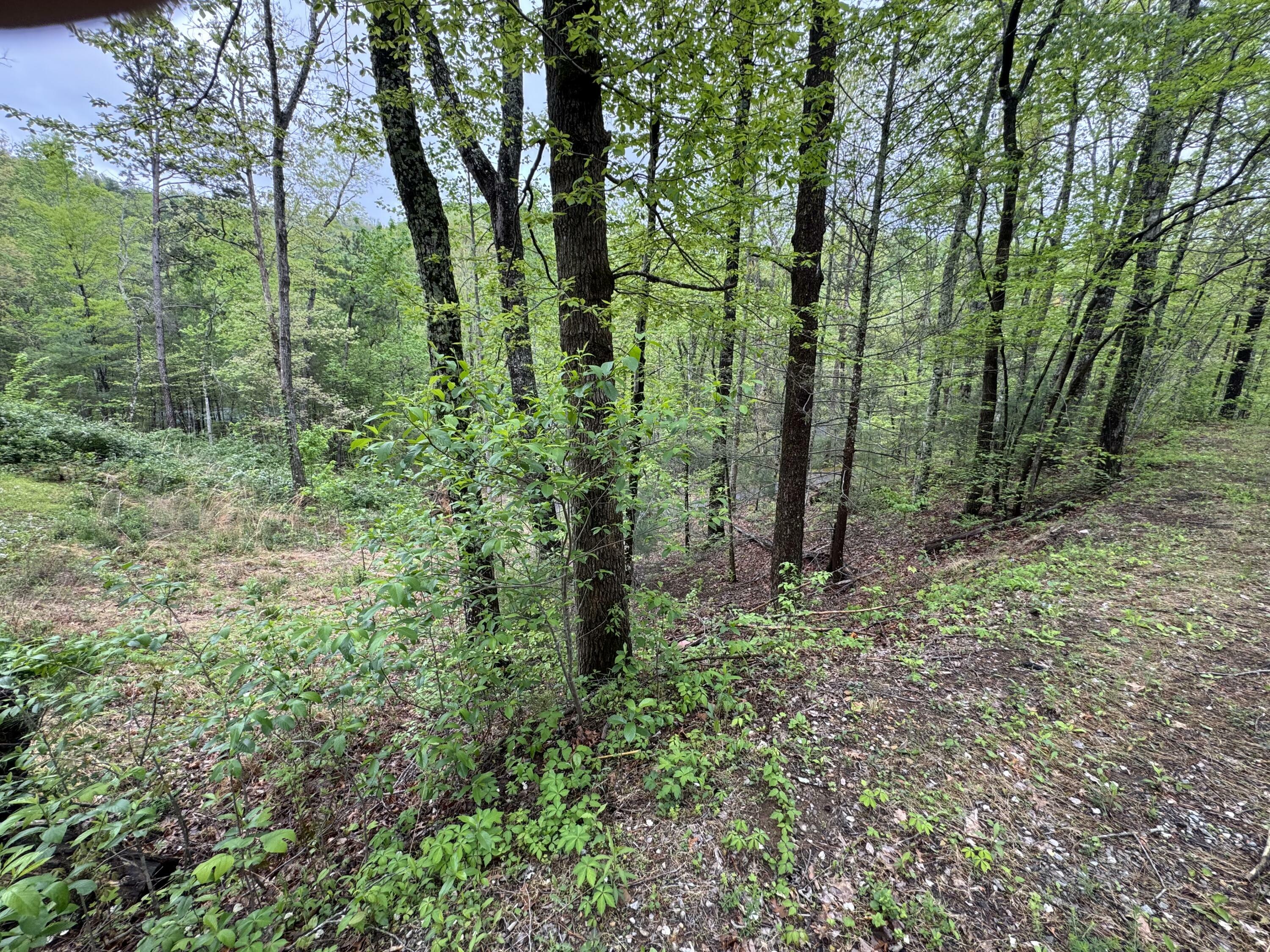 Property Photo: 0 Sky View Drive TN 37876