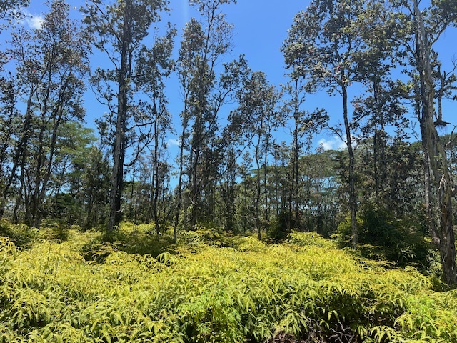 Property Photo:  Plumeria Rd  HI 96778 