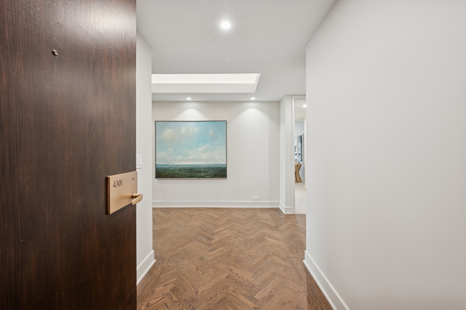 180 E Pearson Street 4301  Chicago IL 60611 photo