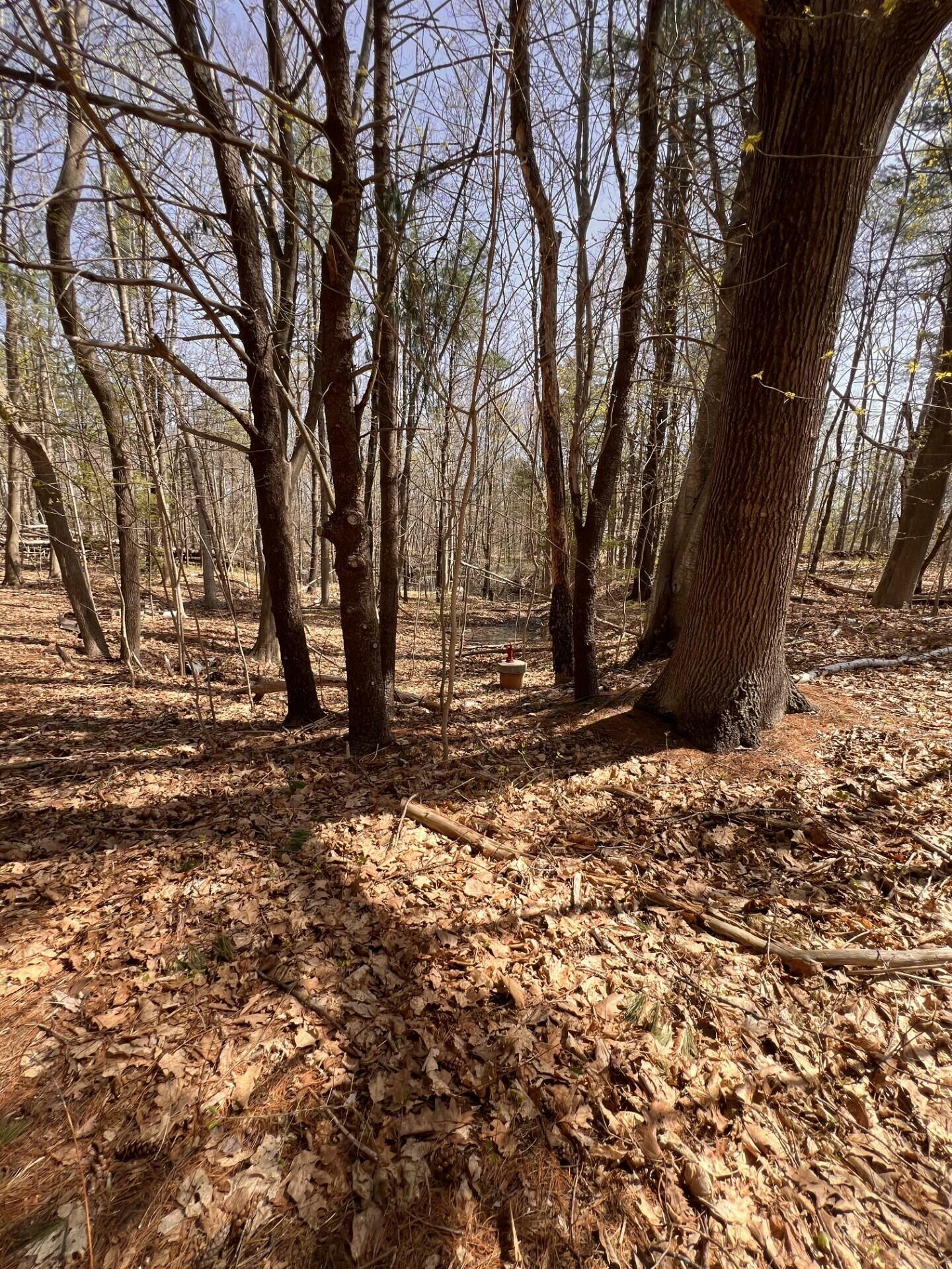 Property Photo: Tbd Old Orchard Road ME 04072