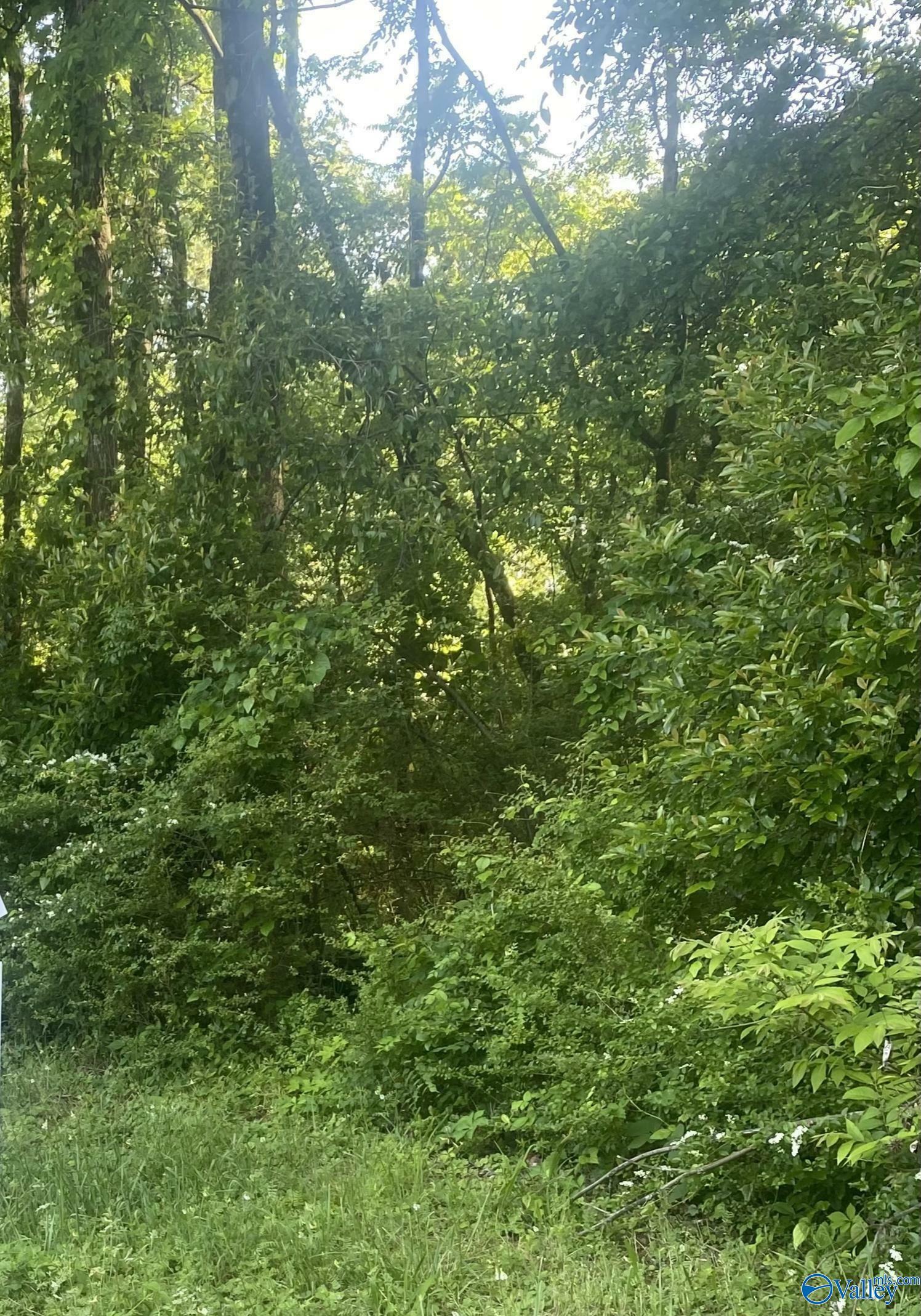 Property Photo: Lot 10-11 Blair Street S AL 35630