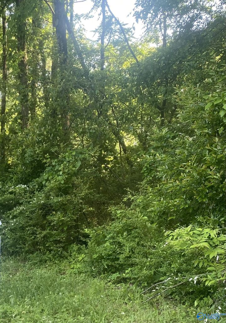 Property Photo:  Lot 10-11 Blair Street S  AL 35630 