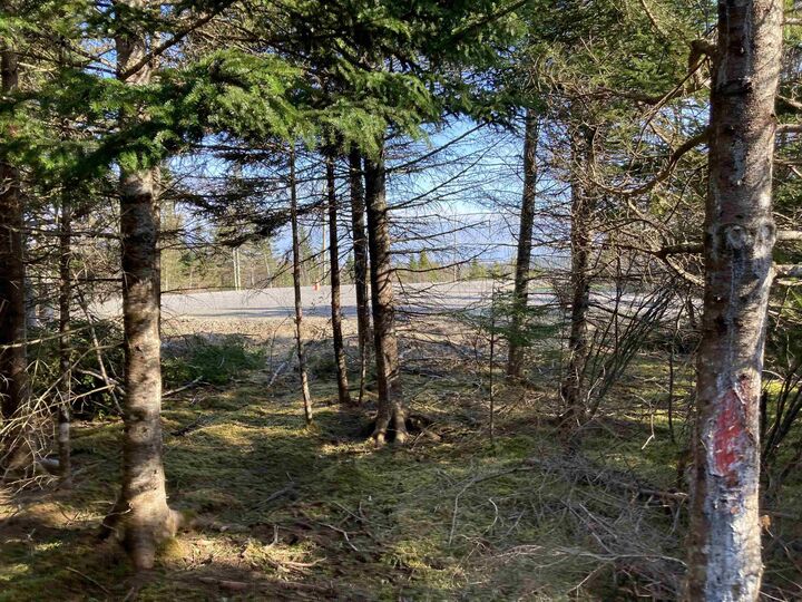 Property Photo: Lot 21-9 Mary Cecelia Ridge NS B0H 1P0