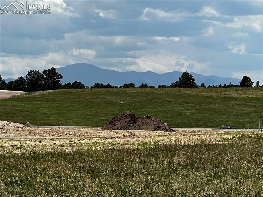 Property Photo: 11970 Woodridge Terrace CO 80908