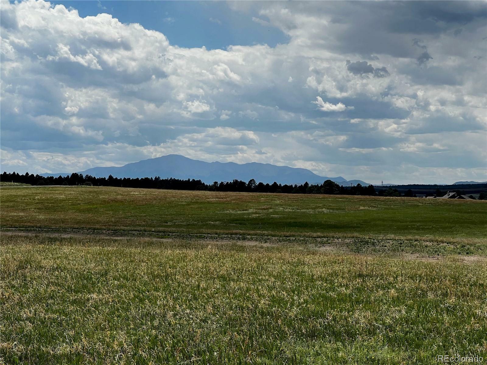 Property Photo: 16990 Early Light Drive CO 80908