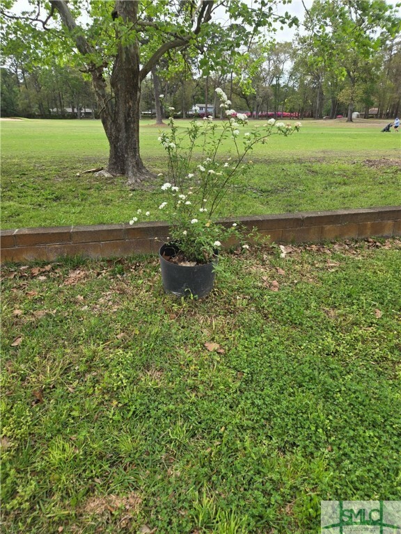 Property Photo: 12825 Stillwood Drive GA 31419