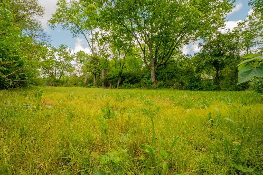 Property Photo: 1811 Taylor Street TN 37406