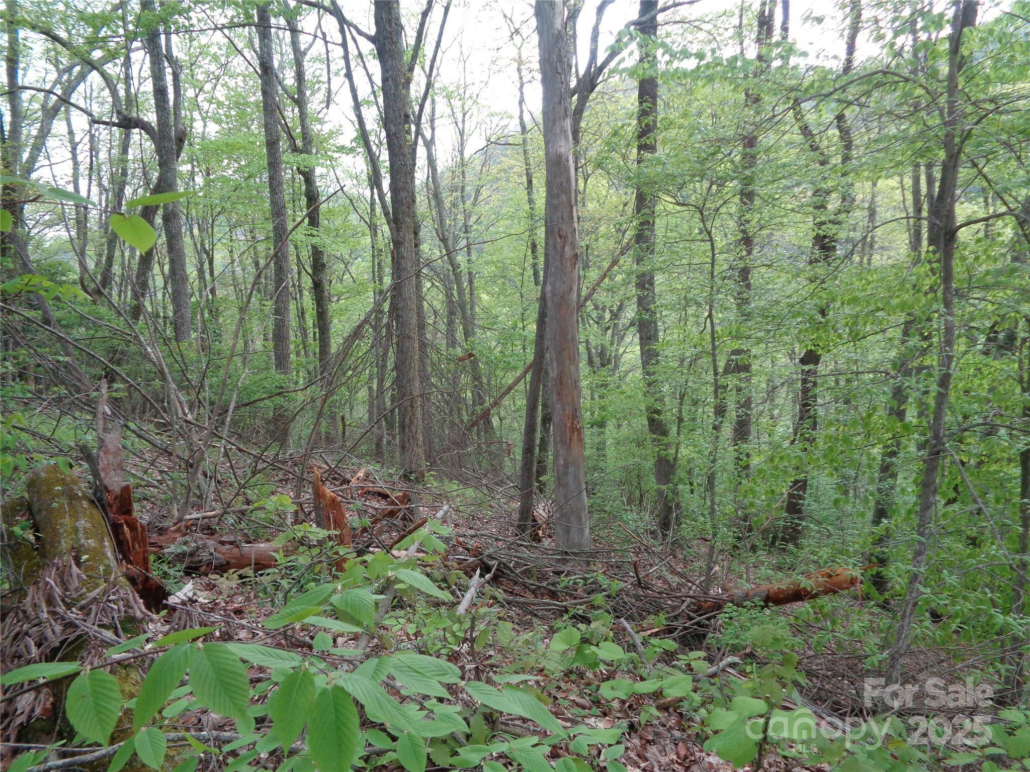 Property Photo: 00 Promiseland Road NC 28716